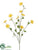 Morning Glory Spray - Yellow - Pack of 12