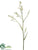 Crocosmia Spray - Cream - Pack of 12