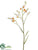 Crocosmia Spray - Flame - Pack of 12