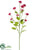 Flower Spray - Cerise - Pack of 12