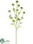 Flower Spray - Green - Pack of 12