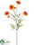 Marigold Spray - Orange - Pack of 24