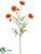 Marigold Spray - Orange - Pack of 24