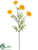 Marigold Spray - Yellow - Pack of 24