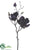 Magnolia Spray - Eggplant - Pack of 12