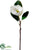 Magnolia Spray - White - Pack of 12