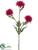 Aster Mum Spray - Fuchsia - Pack of 12