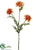 Aster Mum Spray - Orange - Pack of 12