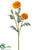 Marigold Spray - Orange - Pack of 12