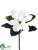 Magnolia Spray - White - Pack of 12