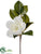 Magnolia Spray - White - Pack of 12