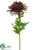 Spider Mum Spray - Rust Gold - Pack of 12