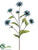 Aster Mum Spray - Blue - Pack of 12