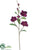 Magnolia Spray - Purple Dark - Pack of 12