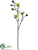 Magnolia Bud Spray - Cream Green - Pack of 12