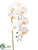 Silk Plants Direct Phalaenopsis Orchid Spray - White - Pack of 6