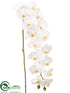 Silk Plants Direct Phalaenopsis Orchid Spray - White - Pack of 6