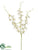 Dendrobium Orchid Spray - Cream - Pack of 12