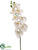 Phalaenopsis Orchid Spray - White - Pack of 12