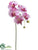 Phalaenopsis Orchid Spray - Orchid Violet - Pack of 12