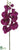 Phalaenopsis Orchid Spray - Orchid - Pack of 12