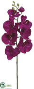 Silk Plants Direct Phalaenopsis Orchid Spray - Orchid - Pack of 12