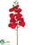 Phalaenopsis Orchid Spray - Crimson - Pack of 12