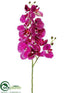 Silk Plants Direct Phalaenopsis Orchid Spray - Orchid Cream - Pack of 12