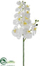 Silk Plants Direct Phalaenopsis Orchid Spray - White - Pack of 12