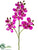 Phalaenopsis Orchid Spray - Orchid - Pack of 12