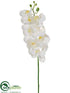 Silk Plants Direct Phalaenopsis Orchid Spray - White - Pack of 12