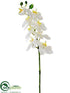 Silk Plants Direct Phalaenopsis Orchid Spray - White - Pack of 6