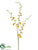 Oncidium Orchid Spray - Yellow - Pack of 12