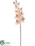 Silk Plants Direct Phalaenopsis Orchid Spray - Peach Soft - Pack of 6