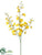 Oncidium Orchid Spray - Yellow - Pack of 12