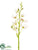 Silk Plants Direct Dendrobium Orchid Spray - Cream - Pack of 12