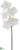 Phalaenopsis Orchid Spray - White - Pack of 12