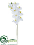 Silk Plants Direct Phalaenopsis Orchid Spray - White - Pack of 12