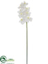 Silk Plants Direct Phalaenopsis Orchid Spray - White - Pack of 12