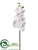 Phalaenopsis Orchid Spray - White - Pack of 12