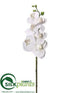 Silk Plants Direct Phalaenopsis Orchid Spray - White - Pack of 12