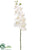 Phalaenopsis Orchid Spray - White - Pack of 6