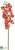 Phalaenopsis Orchid Spray - Peach Salmon - Pack of 12