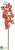 Phalaenopsis Orchid Spray - Peach Salmon - Pack of 12