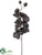 Phalaenopsis Orchid Spray - Black - Pack of 12