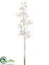 Silk Plants Direct Vanda Orchid Spray - Cream - Pack of 12