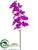 Phalaenopsis Orchid Spray - Orchid - Pack of 12