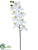 Phalaenopsis Orchid Spray - White - Pack of 12