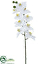 Silk Plants Direct Phalaenopsis Orchid Spray - White - Pack of 12