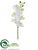 Phalaenopsis Orchid Spray - White - Pack of 12